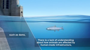 24 reactions | PNNL's Lab-on-a-Fish won an R&D 100 award and received a bronze medal in the Special Recognition Market Disruptor Products category! This revolutionary miniature biosensor can monitor the health, behavior, and environment of freshwater fish species in real-time to understand human impacts on ecosystems. https://bit.ly/3b1gKly #rd100 | Pacific Northwest National Laboratory | Facebook