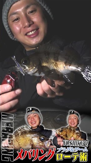 [Mebaru Fishing] Catching bites one after another! YOSHIKI's style! Plug & worm rotation techniqu...