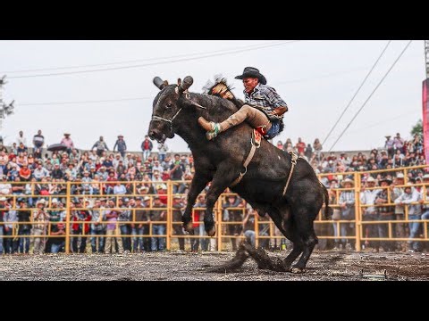 LA MONTA QUE HIZO GRITAR A LA GENTE QUE ESPECTACULAR // Rancho El Farallon regreso a Michoacan.