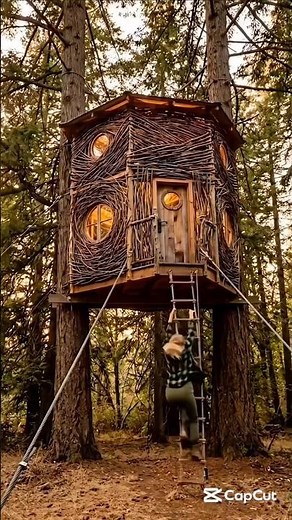 Forest adventure survival skills #outdooradventure #forestlife