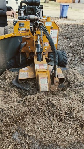 Grinding a sweet gum #stumpgrinding #stump #tree #diy