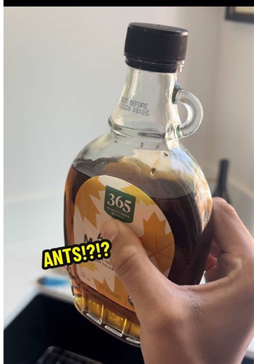 Sunday Morning Food Review: Maple Syrup Pancakes