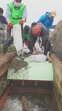 今井堰で１基目の魚道完成です。まだまだ渓流シーズンですが、魚道設置作業が始まると鮎気分になって来ますね♪鮎遡上の情報は今しばらくお待ち下さい👍#京の川の恵みを活かす会 #仮設魚道 #鮎遡上