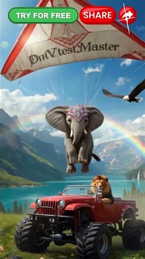 Pass Your DMV Drivers License Test Don't Crash