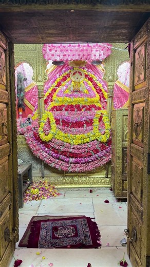 आज के खाटू श्यामजी के लाइव दर्शन | 07 June 2026 | Shree Shyam Baba