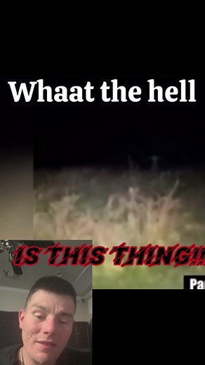 1.3K views · 49 reactions | Is it the rake? Is it some other type of humanoid creature tell me in the comments!!! #Paranormal #ParanormalEvidence #Scary #Cryptid #CryptidMonster #Bigfoot #WTF #ForYouPage #ForYou #ParanormalVision | paranormalvison | Facebook