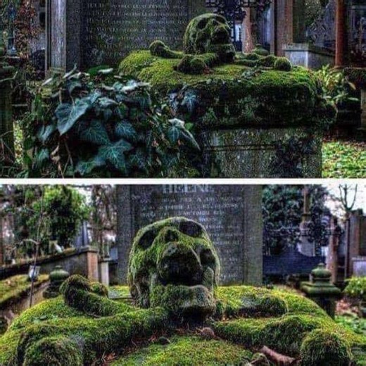 This mansion still stands —but no one knows who it was built for.🏚️ #viralpost #viralvideo #fypシ゚viralシ #fypシ #viralreelsシ | Ancient Things