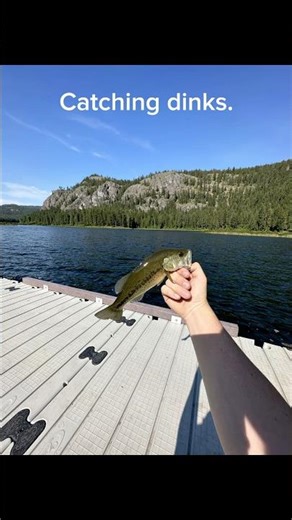 Fishing is HARD… #cartoon #funny #memes #fishing #fishingequipment #flyfishing #chileflyfishing