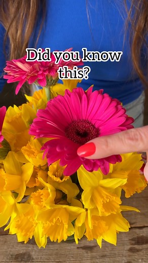 😱🌼 Fun flower fact! Daffodils emit a toxic sap from their stems that will cause other flowers to wilt faster. Unless you want to condition the ends, its best to enjoy separately! ❤️ #daffodils #flowers #tipsandtricks #florist #funfacts | Jeff & Lauren
