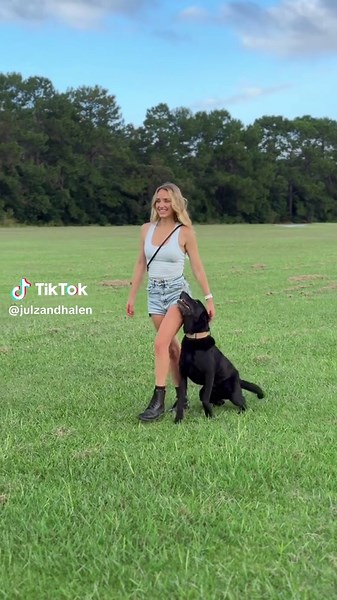 Zulu the Conservation Detection Dog's Adorable Skills