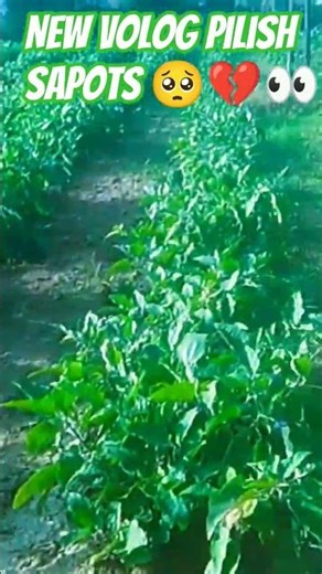 tum👍 kabibi kamiyab nahi hosakte ho🥺💔👀#sotast #viralvideos @aaryankelvin