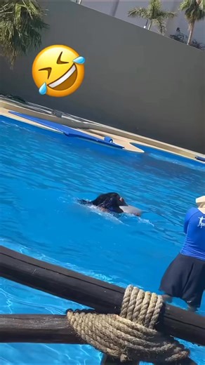 Took me for the ride of my life!! | whitl3y