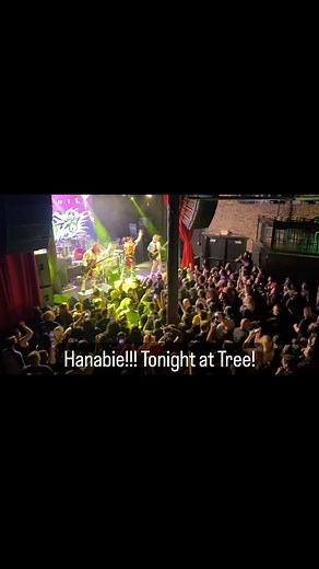 Trees Dallas on Reels