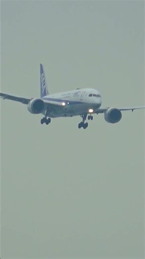 セントレア空港訓練中の着陸/ANAのJA804A