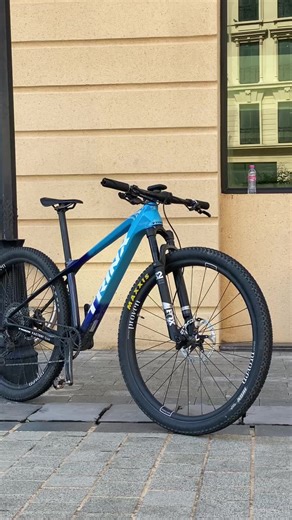 Trinx Bike Overview: Features and Performance Insights