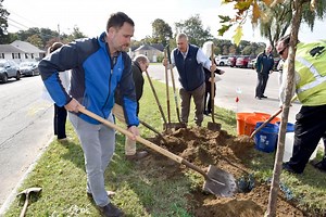 East Springfield to get 200 more trees, expanded tree maintenance