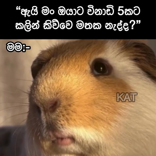 5.5M views · 3.9K reactions |  | KAT | Facebook