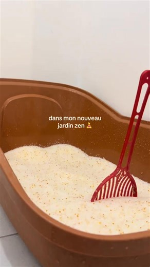 Je voyais cette litière partout sur Facebook… j’ai fini par céder 😂 Et je comprends pourquoi les gens en parlent : les cristaux absorbent tout, l’odeur disparaît, et surtout ça ne colle pas aux pattes. Même mon copain (qui ne remarque jamais rien) m’a dit : “Attends, t’as changé un truc ? Ça ne sent plus.” | Anais Garnier
