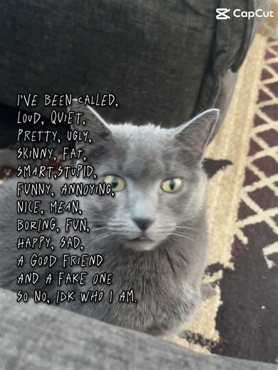 To some people Im fake…. #ytshorts #lyrics #idkwhoiam