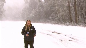 35K views · 1K reactions | Winter has arrived early, bringing a severe weather warning and plummeting temperatures. Rain, hail and snow fell across the state on the coldest day of the year - and there's more to come. #9News | Nightly at 6pm | 9 News Melbourne | Facebook