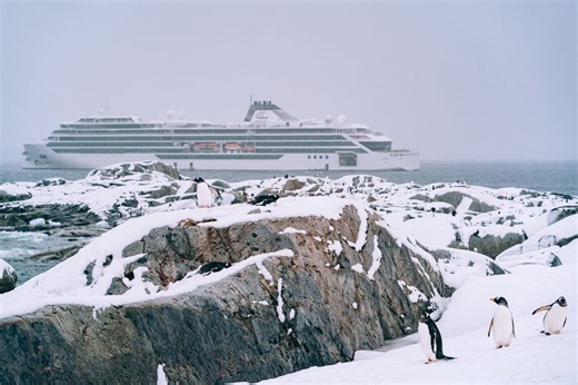 How a New Line of Expedition Ships Is Turning the Tides on Polar Seas
