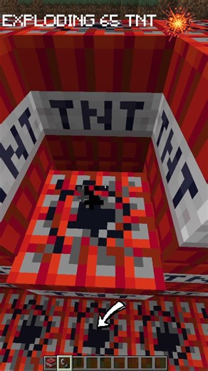 What Happens If You Explode 65 TNT? 😳