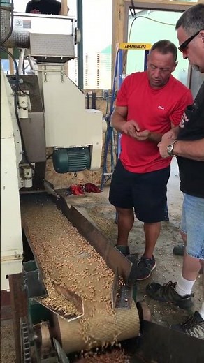 Colorado Mill Equipment Pellet Mill 2