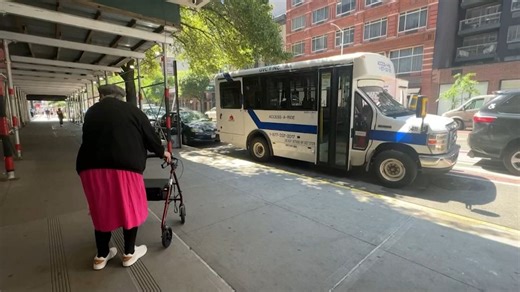 Blind Access-A-Ride users face challenges finding their rides