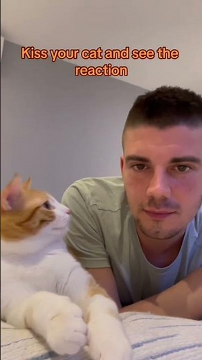 Cats + Kisses = Comedy 🤣 Priceless Reactions!