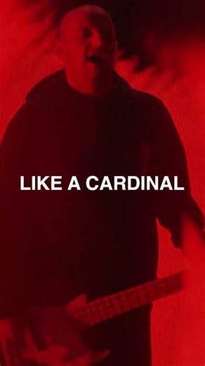 The music video for “Like A Cardinal” is out now! Check it out and let us know what you think 🖤