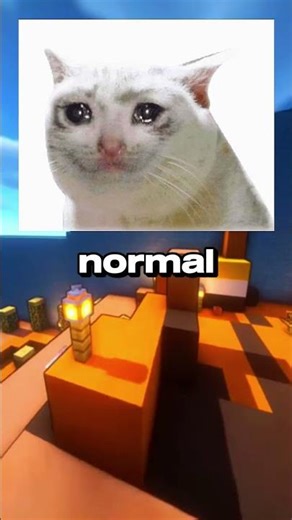 The origin of cat meme part 2