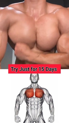 2.2M views · 70K reactions | 6 Chest Exercises for a Massive...