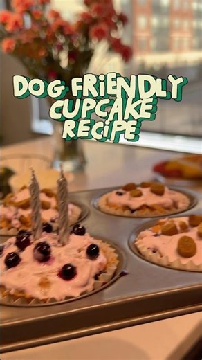 Cupcakes (or pupcakes!) for dogs 🧁 #dogfriendly #recipe #doggylove #dogmom