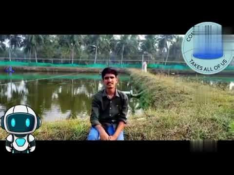 🌊 AquaSmart Sentinel – AI-Powered Smart Pisciculture System