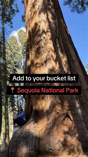 Add Sequoia National Park to your bucket list. #sequoianationalpark #californiahikes #optoutside #naturelover #hikingadventures