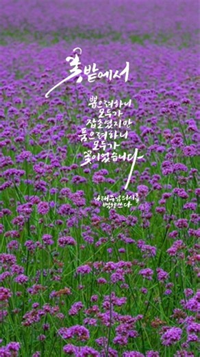 꽃밭에서 / 나태주 시 / 백향캘리그라피