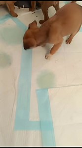 5.1K views · 148 reactions | ☀️ Buongiorno con un quiz: sapete quanto...