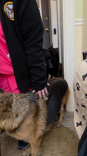 1.4K views · 77 reactions | Priscilla is home | Kenneth Lawrence | Facebook