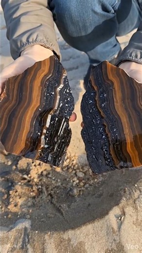 Wow, a beautiful, extremely rare wooden fossil worth $9999 was found in a river. #Agate #Diamond