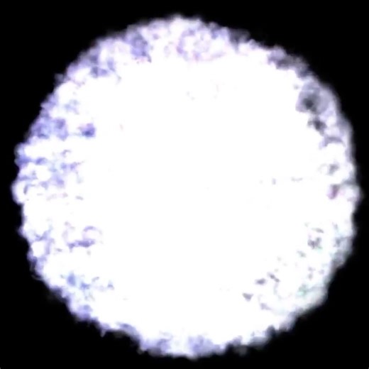 Quantum chromodynamics predicts that the proton is, at high resolution, a dandelion-like cloud made up almost entirely of force-carrying particles called gluons. https://www.quantamagazine.org/inside-the-proton-the-most-complicated-thing-imaginable-20221019/ | Quanta Magazine