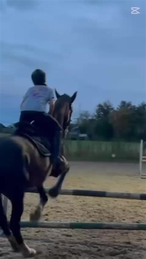 Ik heb niks om te posten..#fyp#viral#sam#springen#ysu @mullersltables_ogs