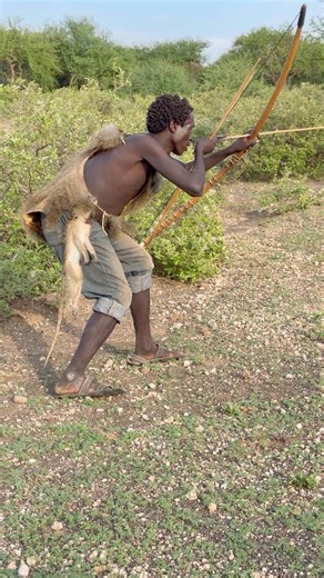Hadza tribe monkey hunting with bow and arrow | Traditional African survival skills