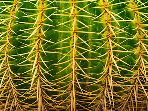 Why Ethereum Name Service Is Seeing a Spike in Domain Registrations