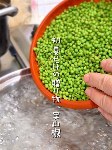 𓌉◯𓇋 初夏の手仕事・実山椒🌿熟す前の若い実が房のまま出回るのは、ほんの短い初夏のあいだだけ。 実山椒を下処理して、 ・ちりめん山椒 ・塩山椒 ・オイル山椒 の3品を作りました。 実を枝からひと粒ずつ外す作業は少し根気がいりますが、手をかけるほどに季節が愛おしくなる気がします。 私の下処理のポイントは、湯がきすぎないこと。 ちりめん山椒用は１分程度 その他は３～４分（お好みの固さでそれ以上でも） 爽やかな香りと心地よい辛みを残したいので、様子を見ながらさっと茹でています。 【ちりめん山椒】 〈材料〉 ・ちりめんじゃこ 250g ・実山椒（下処理済み）20〜30g程度（お好みで） 〈調味料〉 ・酒 100ml ・みりん 100ml ・醤油 100ml ・砂糖 小さじ1〜2（お好みで） ・蜂蜜（お好みで） ①ちりめんじゃこをフライパンで軽く炒る ②酒・みりん・醤油・砂糖を鍋に入れて煮立たせる ③実山椒を加えてさっと煮る ④ちりめんじゃこへ調味料を加え、落とし蓋をして中火弱で煮含める ⑤煮汁が少なくなったら、ちりめんをバットなどに取り出す ⑥残った煮汁をとろりとするまで煮詰める ⑦煮詰