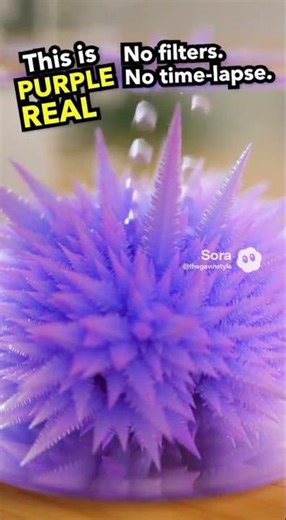 We found the EXPLODING PURPLE ROCK!!! #foryou