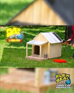 Celebrate National Dog Day and treat your furry friend with their very own waterproof dog house! 🐶🏠 Watch how Flex Seal® Liquid can keep your dog dry and cozy while they soak up the outdoors. 🌳☀️ | Flex Seal