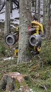 611K views · 3.5K reactions | Amazing new Idea for working Vs large tree | Machines Channel | Facebook