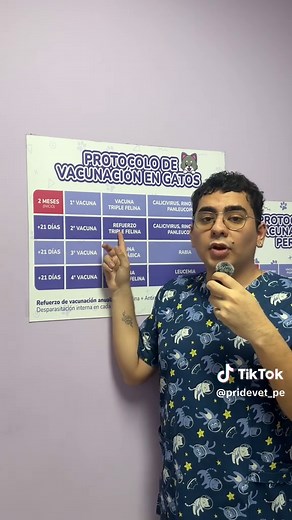 Protocolo de Vacunación en Gatos: Todo lo Que Debes Saber