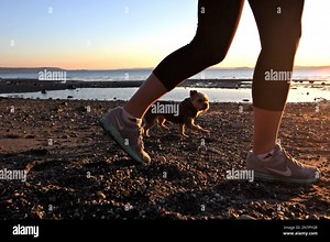 In this image taken Jan. 16, 2013, Carleigh Davis walks her dog Ruby on the beach at Discovery Park in Seattle. At 534 acres, Discovery Park is the largest park in the city and it features seaside bluffs, views of the Puget Sound, trails, a light house and a beach. (AP Photo/Manuel Valdes Stock Photo - Alamy