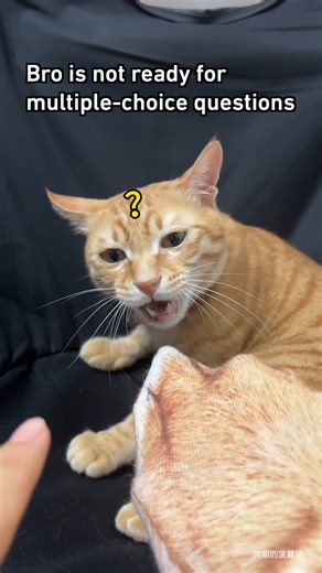 1M views · 10K reactions | single core CPU be like #orangecat #9gag #reels | 9GAG | Facebook